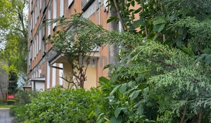 Mieszkanie 1-pokojowe Wrocław Stare Miasto