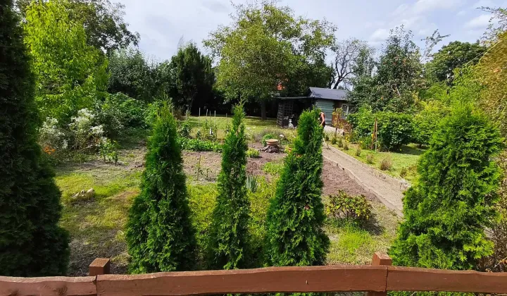 Działka rod Zielona Góra, ul. Andrzeja Struga