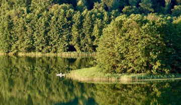 Działka rekreacyjna Woryty