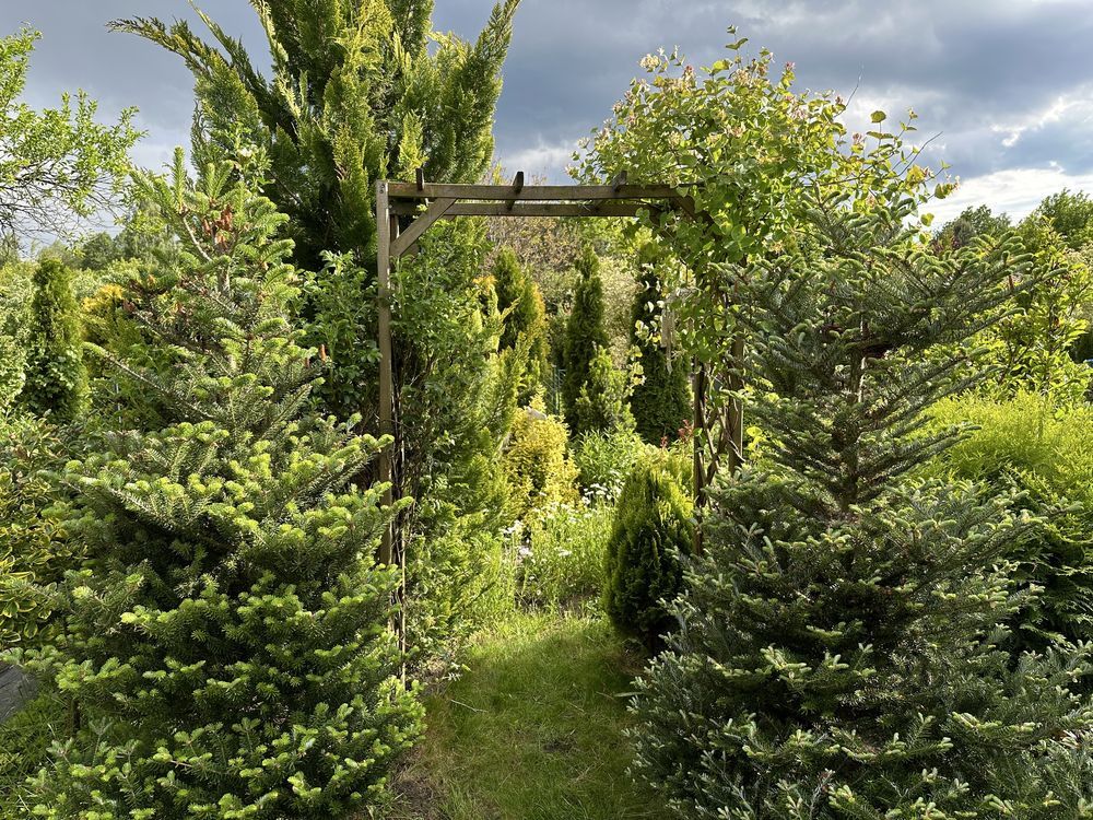 Działka rod Bełchatów, ul. Cegielniana. Zdjęcie 6