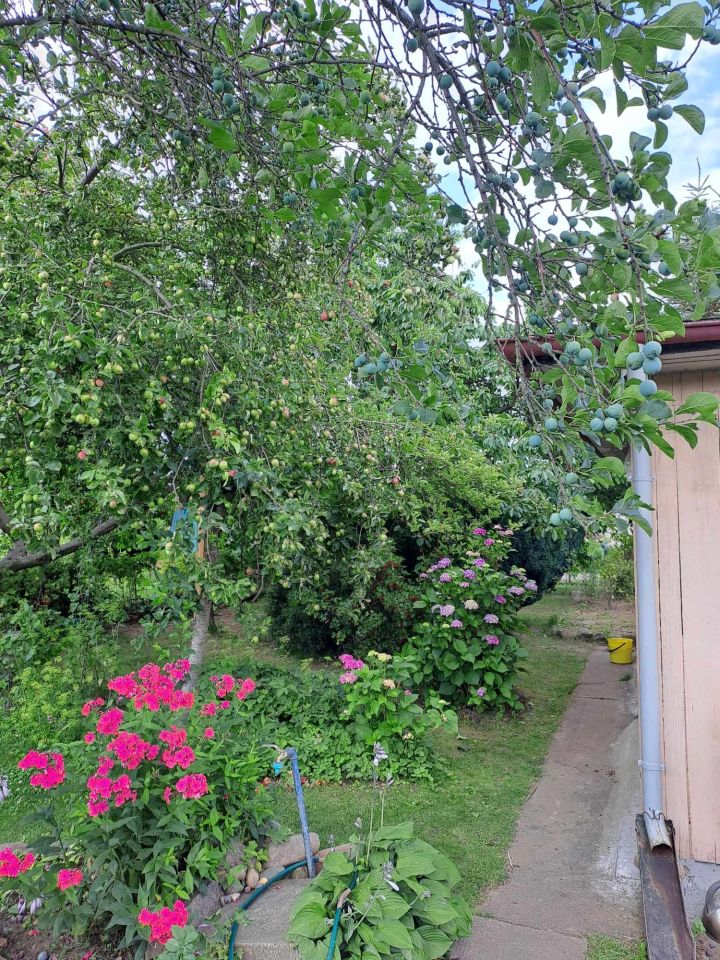Działka rod Gdynia Obłuże, ul.Andersa.. Zdjęcie 14