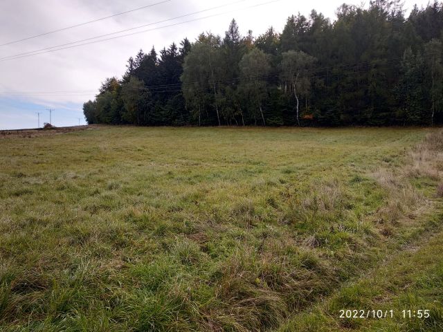 Działka rolna Dzikowiec. Zdjęcie 1