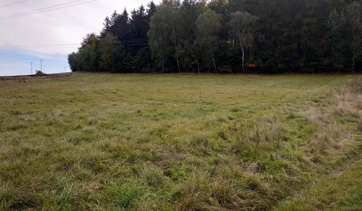 Działka rolna Dzikowiec