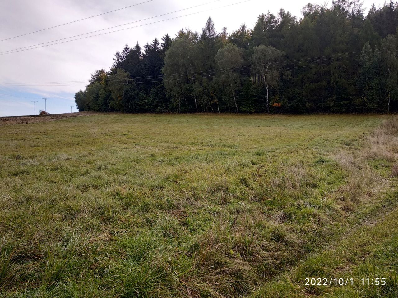Działka rolna Dzikowiec. Zdjęcie 1