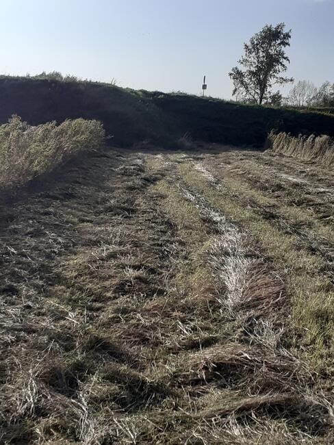 Działka rolno-budowlana Parchatka. Zdjęcie 11