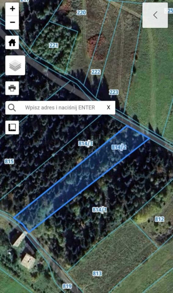 Działka leśna Zalesie. Zdjęcie 2