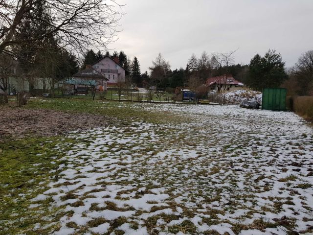 Działka rolna Niedźwiedź. Zdjęcie 1