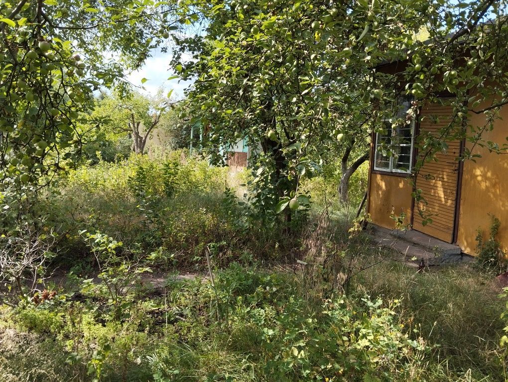 Działka rod Warszawa Targówek. Zdjęcie 2