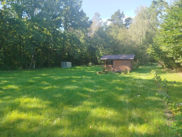 Działka siedliskowa Emilianów. Zdjęcie 1