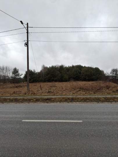 Działka budowlana Kolonia Bogoria. Zdjęcie 2