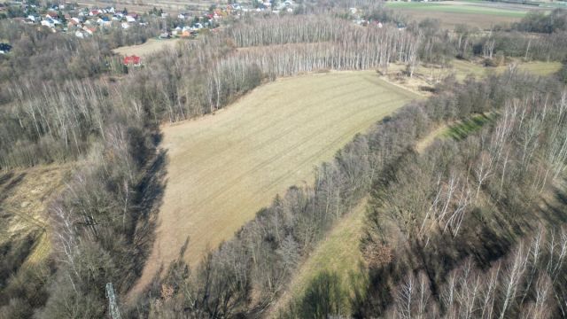 Działka inwestycyjna Zakrzów. Zdjęcie 5