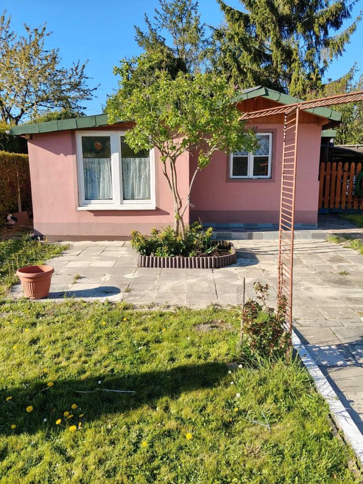 Działka rod Gliwice Łabędy. Zdjęcie 1