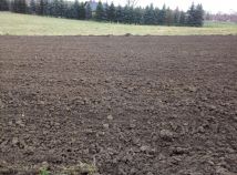 Działka rolno-budowlana Łysokanie. Zdjęcie 3