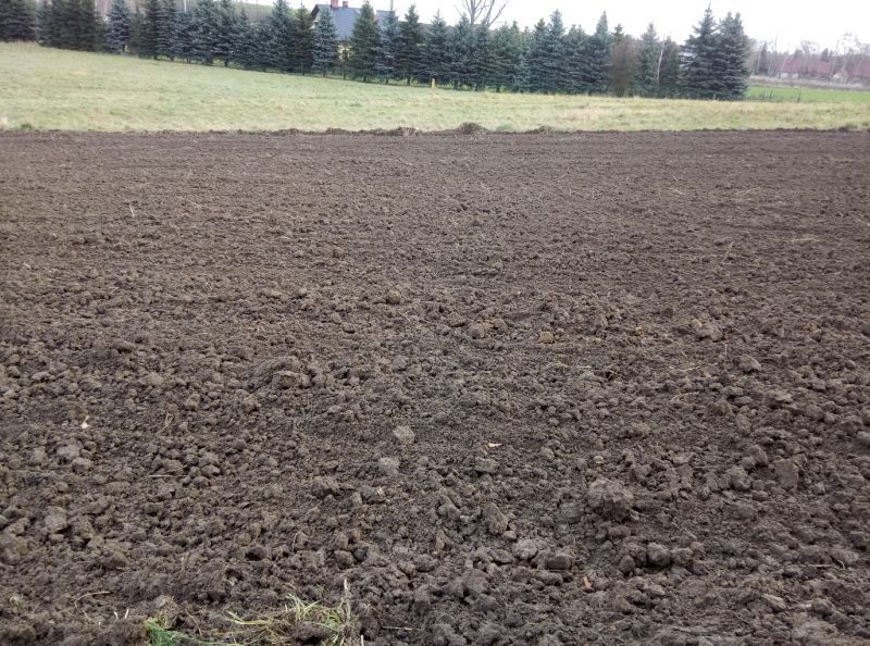 Działka rolno-budowlana Łysokanie. Zdjęcie 4