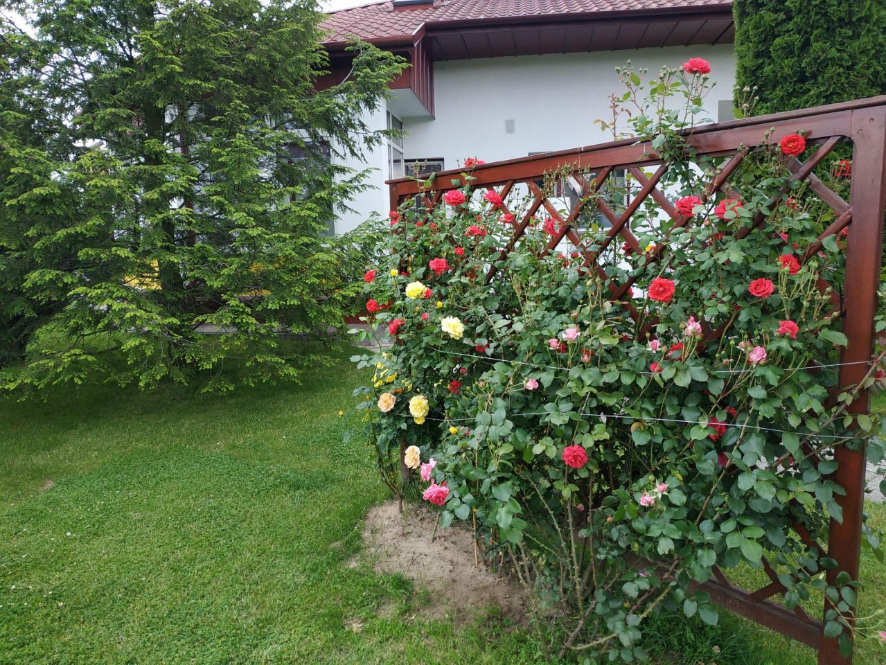 inny, 5 pokoi Sadowie Jacentów. Zdjęcie 5