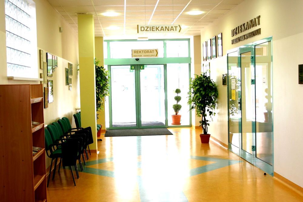 Lokal Leszno, ul. Królowej Jadwigi. Zdjęcie 6