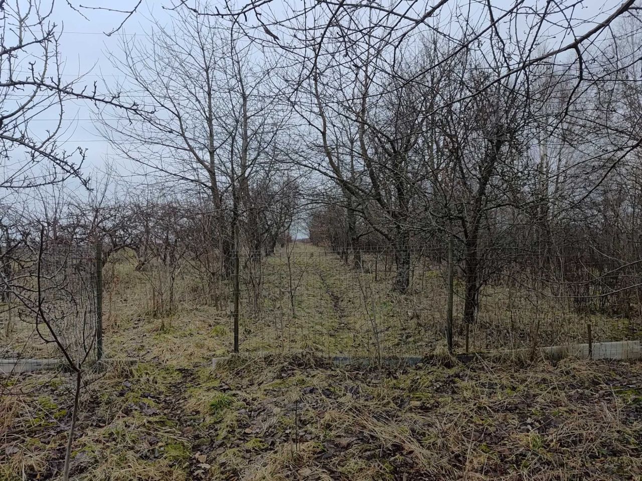 dom wolnostojący Mierzym. Zdjęcie 7