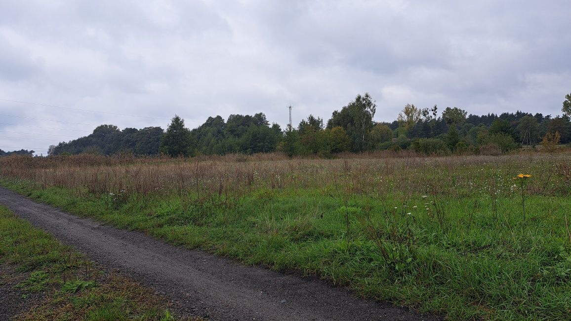 Działka budowlana Ostrzeszów, ul. Grabowska. Zdjęcie 5