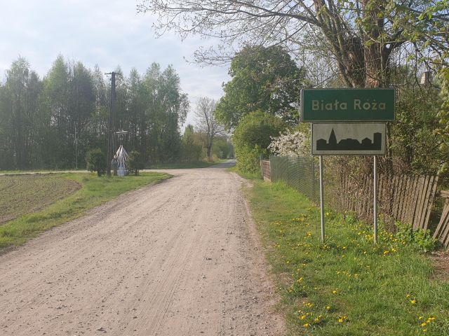 Działka budowlana Biała Róża. Zdjęcie 1