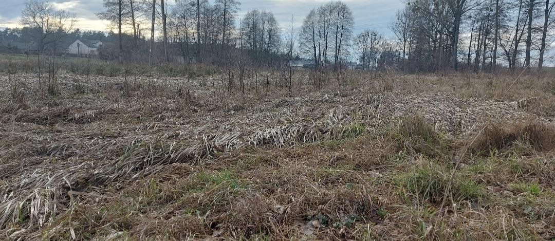 Działka rolno-budowlana Damianów. Zdjęcie 4