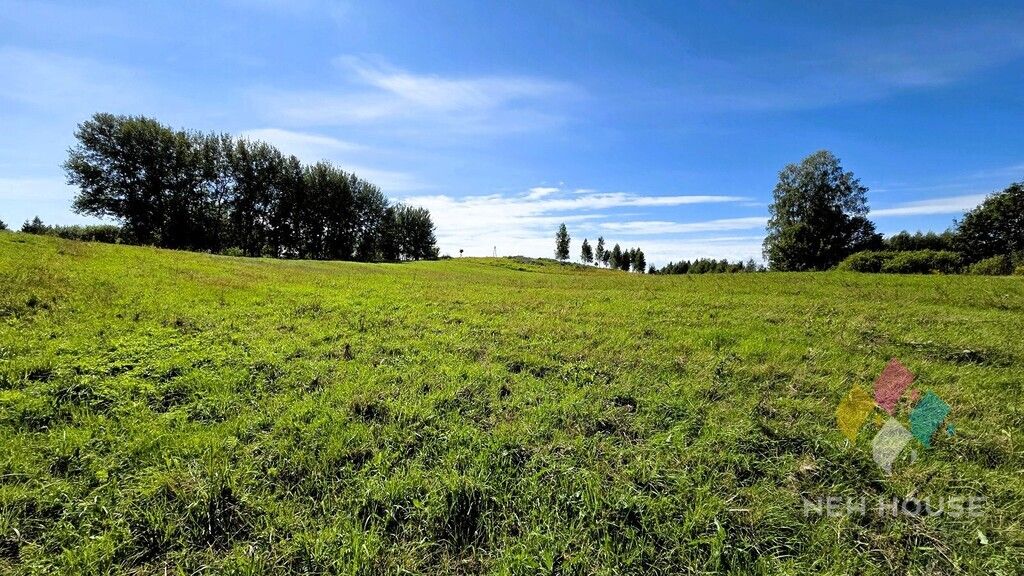 Działka Rozwady. Zdjęcie 8