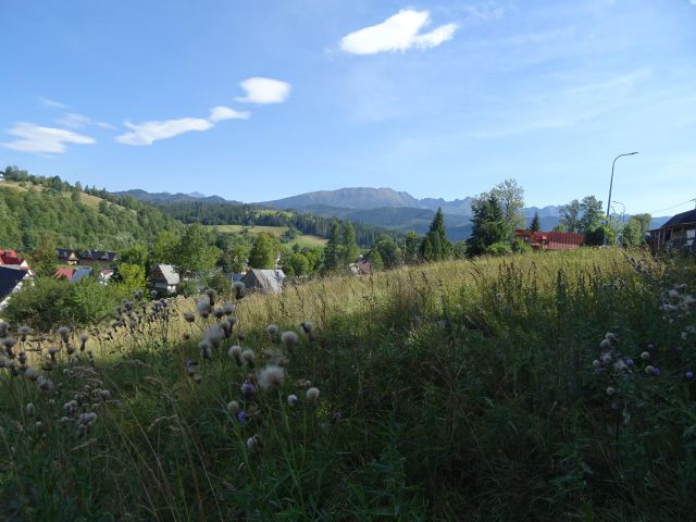 Działka budowlana Zakopane Mrowce, ul. Mrowce. Zdjęcie 2