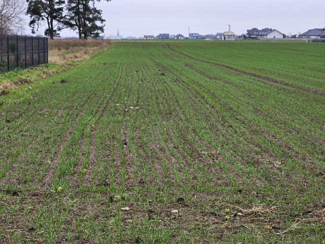 Działka rolno-budowlana Żarowo, ul. Polna. Zdjęcie 1