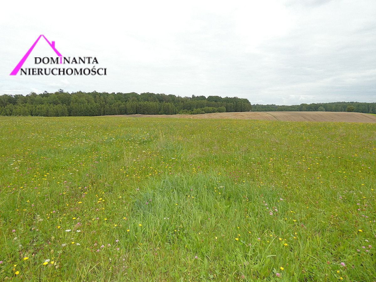 Działka rolna Gronowo. Zdjęcie 10