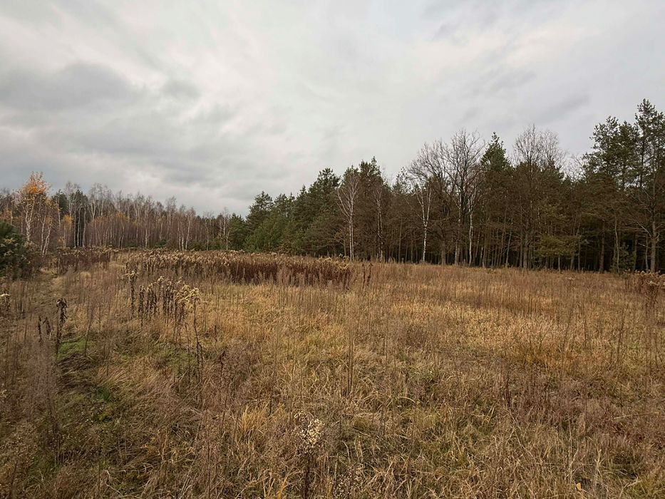Działka rolno-budowlana Poręby Dymarskie. Zdjęcie 6