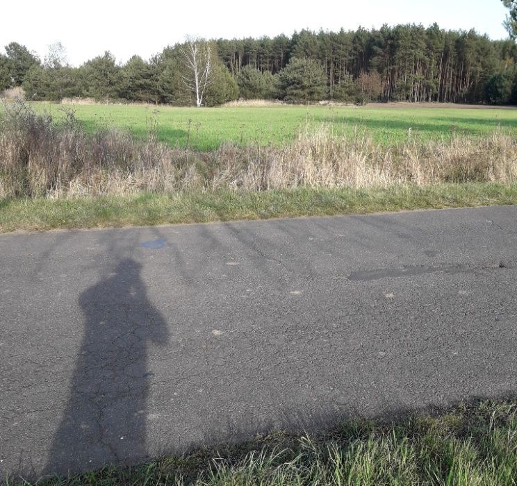 Działka rekreacyjna Tarchalice. Zdjęcie 3