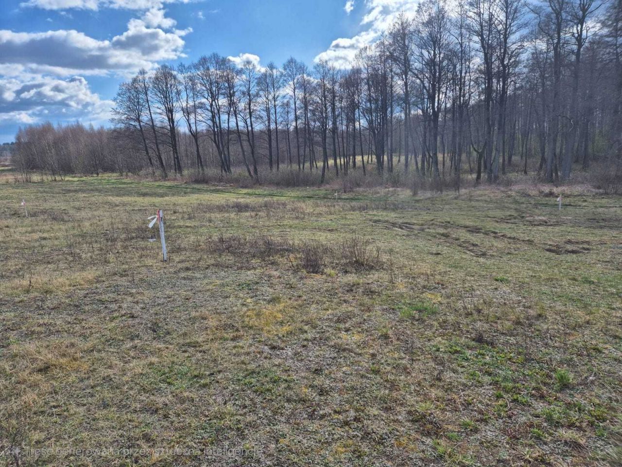 Działka budowlana Skolity