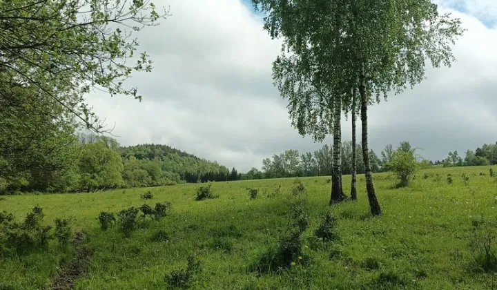 Działka rolna Zawadka Rymanowska