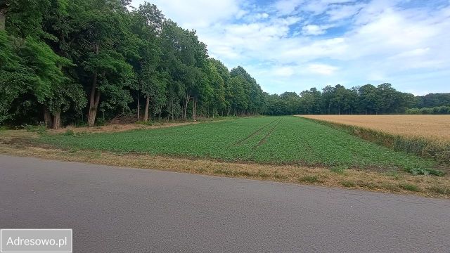 Działka siedliskowa Tyniec Mały, ul. Parkowa. Zdjęcie 1