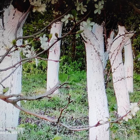 dom wolnostojący, 4 pokoje Sobanice. Zdjęcie 13