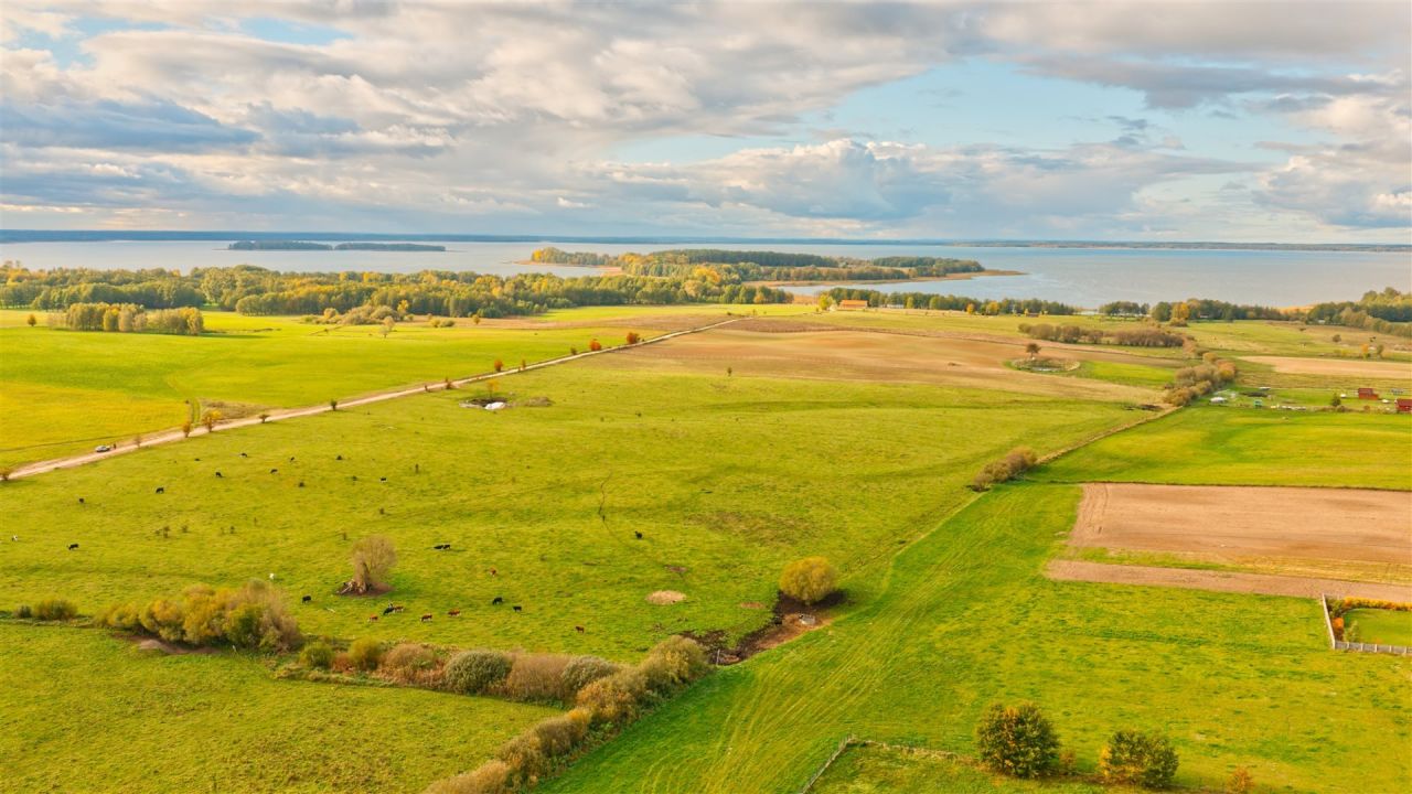 Działka rolna Zdory. Zdjęcie 11