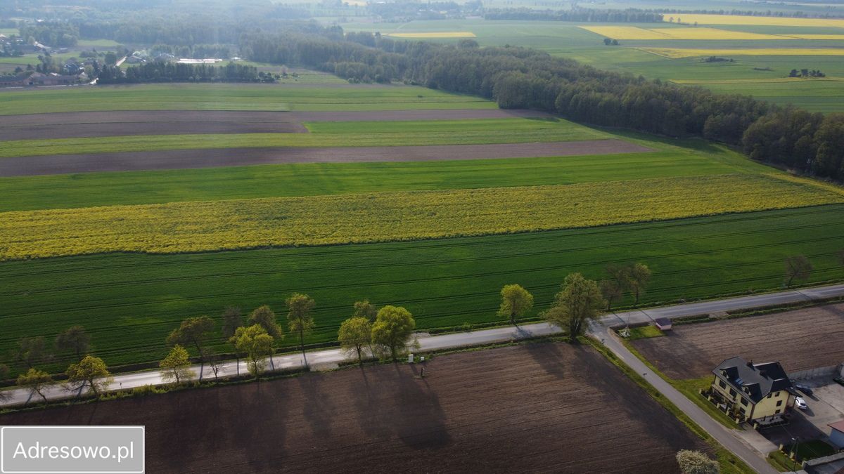 Działka rolno-budowlana Lubiska-Kolonia. Zdjęcie 8