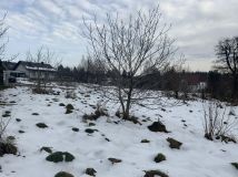 Działka budowlana Koźmice Małe. Zdjęcie 1