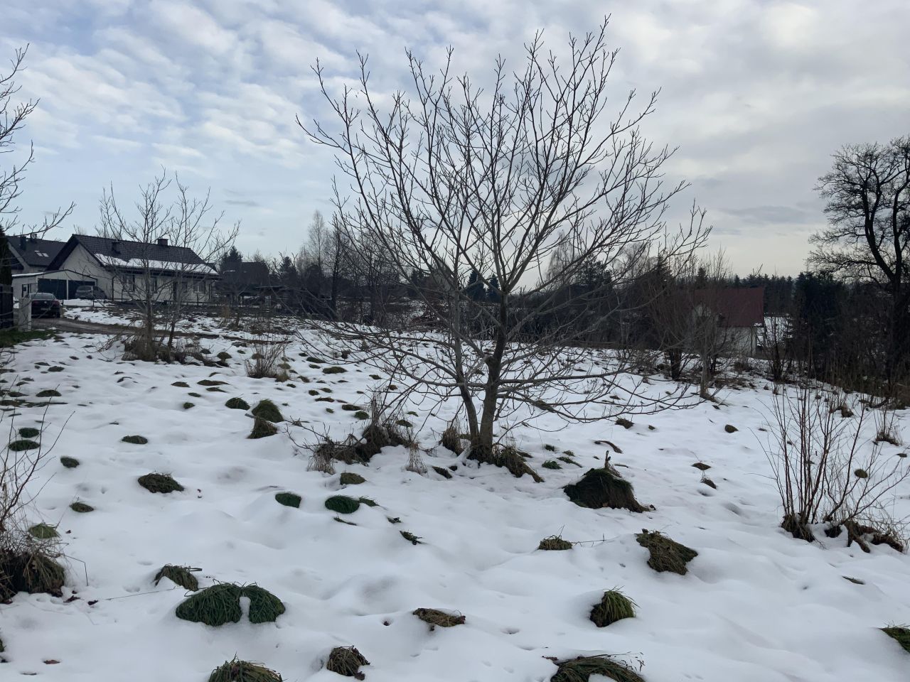 Działka budowlana Koźmice Małe. Zdjęcie 2