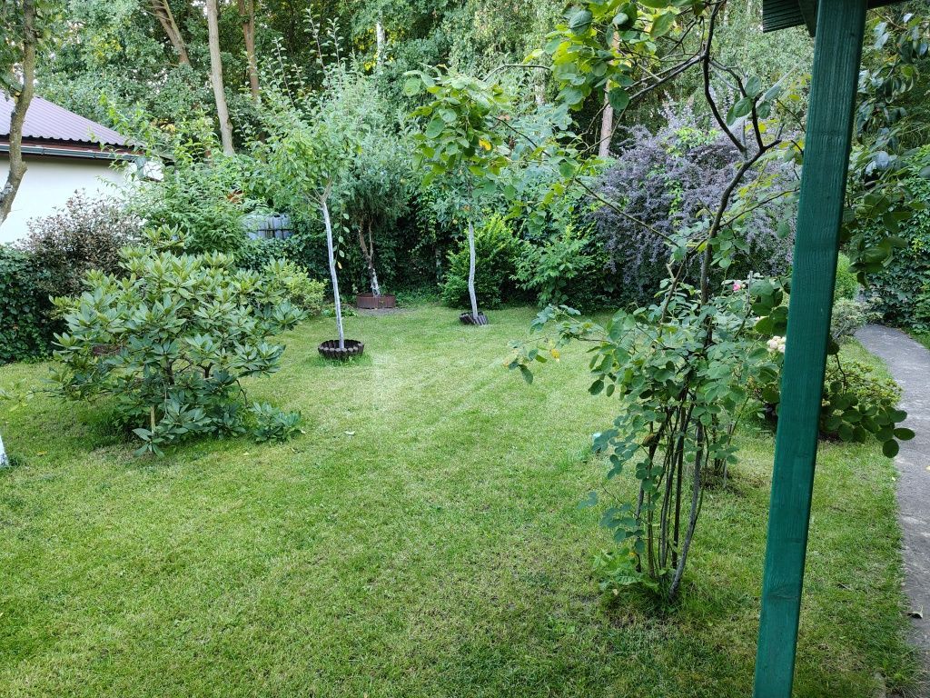 Działka rod Nowa Sól. Zdjęcie 2