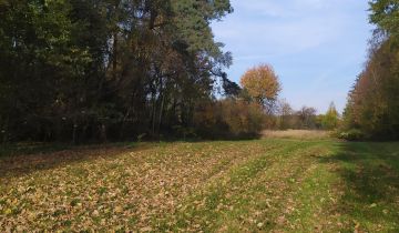 Działka budowlana Kamionka Ostrów, ul. Leśna