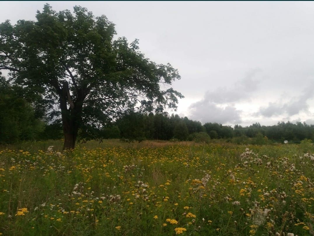 Działka budowlana Kowalewo, ul. Wiśniowa. Zdjęcie 4