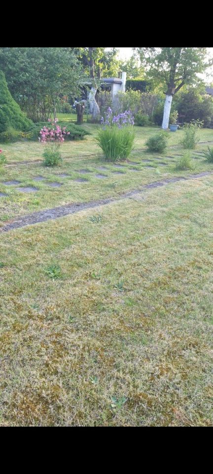 Działka rod Gliwice Bojków, ul. Pszczyńska. Zdjęcie 4