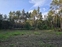 Działka budowlana Pilica. Zdjęcie 3