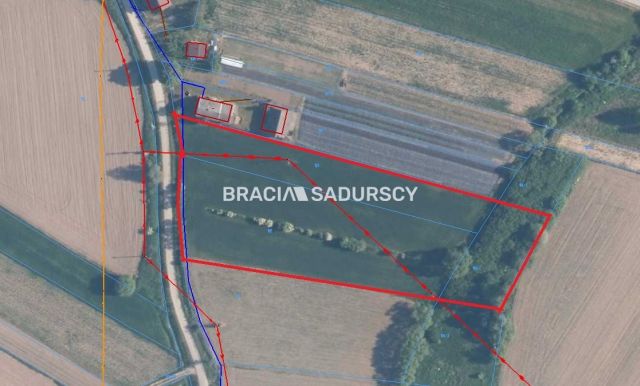 Działka rolna Popędzyna. Zdjęcie 5