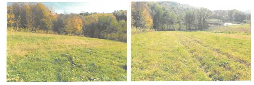 Działka inwestycyjna Leńcze. Zdjęcie 2