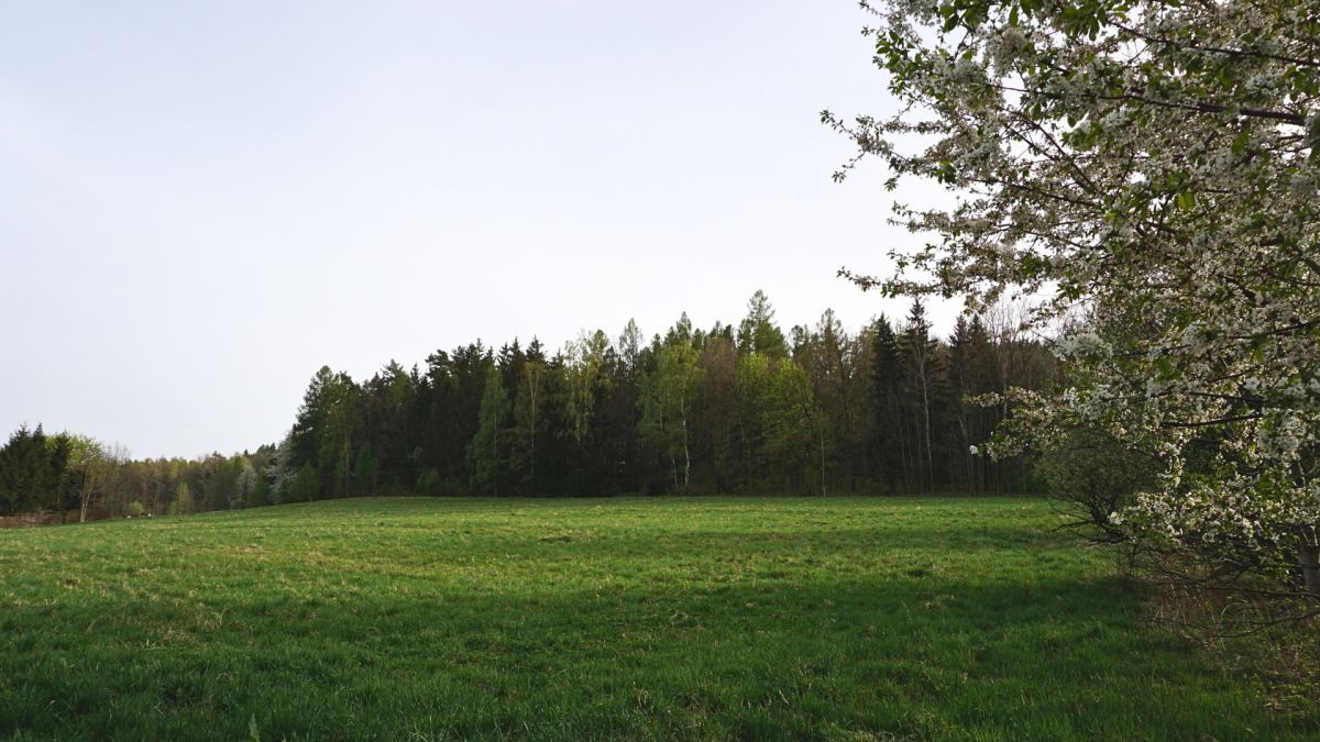 Działka budowlana Sosnówka, ul. Tyrolska. Zdjęcie 12