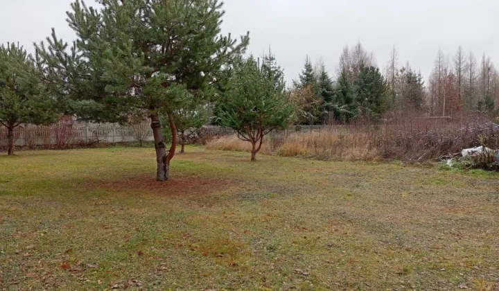 Działka rolno-budowlana Milejowice, ul. Złota