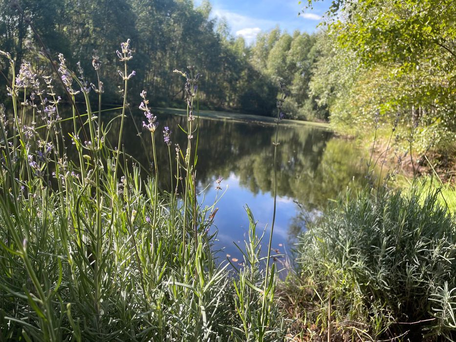 Działka budowlana Salino. Zdjęcie 4
