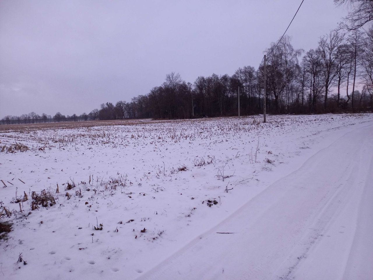 Działka budowlana Jaszczółtowo. Zdjęcie 3