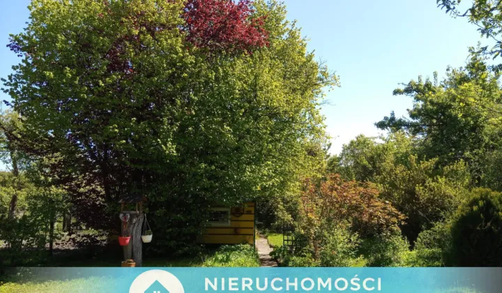 Działka rod Gdańsk Nowy Port, ul. Wyzwolenia